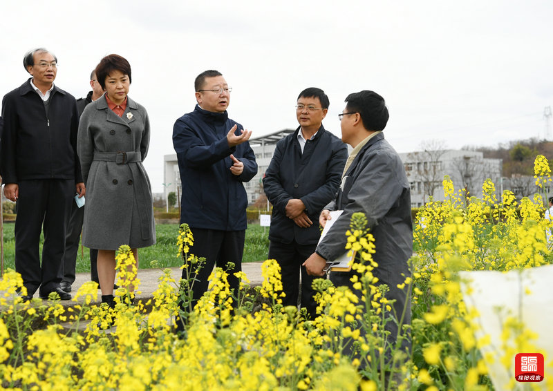 2021年2月26日，元方調(diào)研科技創(chuàng)新工作7  張莉 攝.jpg