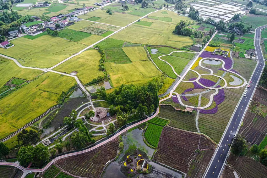 彭什川芎現代農業園區航拍。敖平鎮供圖